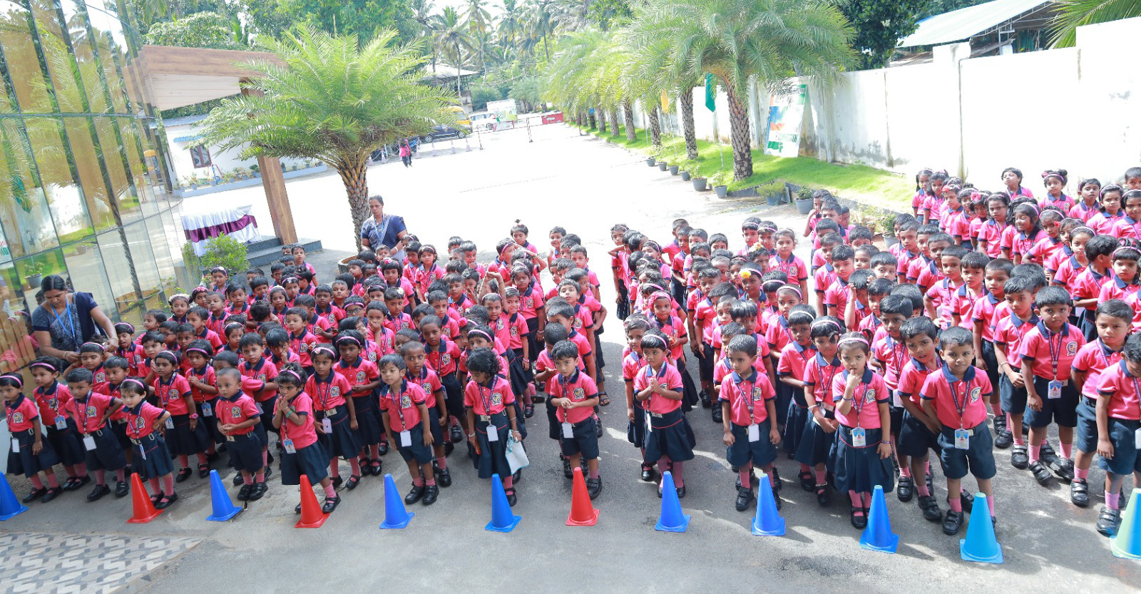 Choose Your Own Science Adventure