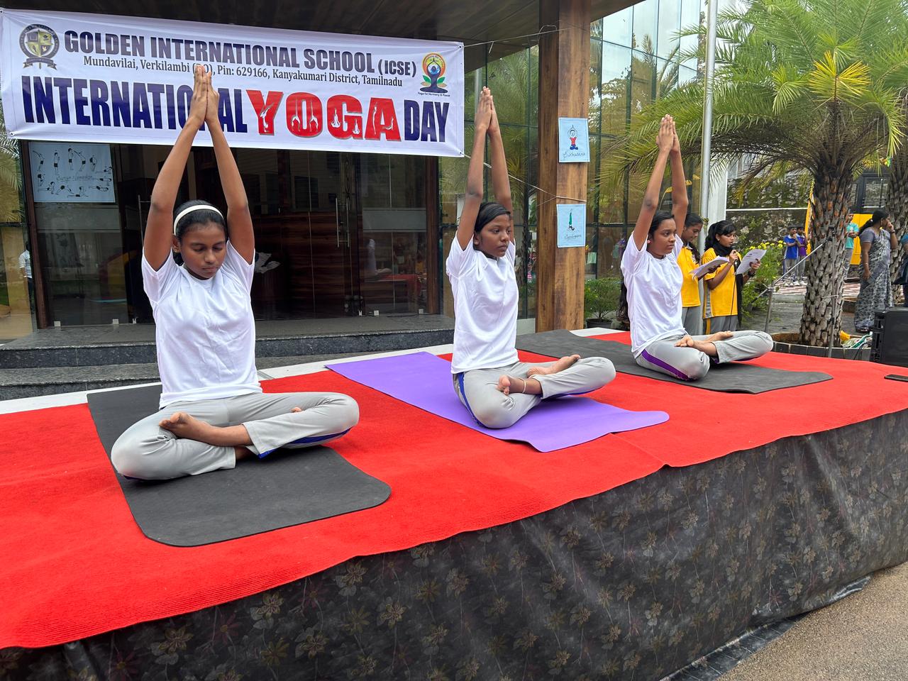 Choose Your Own Science Adventure